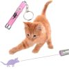 Cat Laser Pointer Pet Accessory