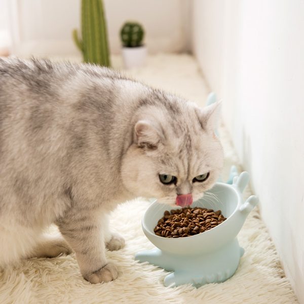 Ceramic Cat Bowl Raised Cat Dish