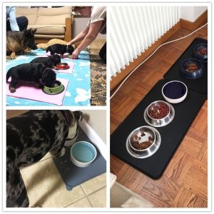 Dog Food Mat Waterproof Bowl Mat