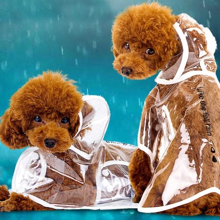 Dog Raincoat Light Rain Guard