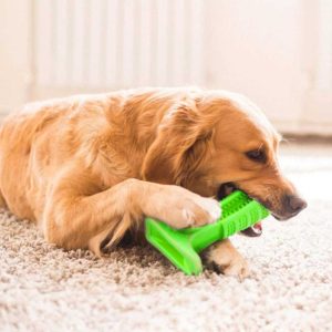 Dog Toothbrush Toy Pet Supply