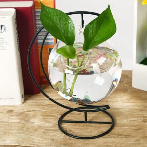 Fish Bowl Vase Hanging Glass