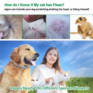 Flea Collar Pet Dog Leash