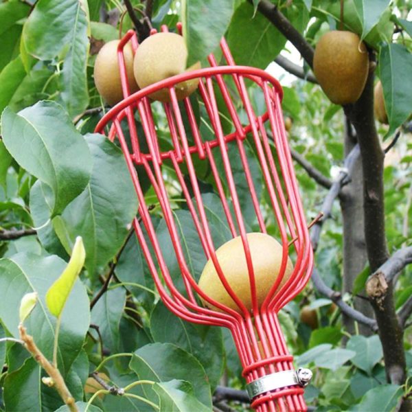 Fruit Picker Tool Gardening Equipment