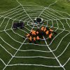 Halloween Spider Web Home Decor