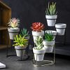 Herb Pots 3-in-1 with Metal Stand