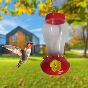 Hummingbird Feeder Plastic Container