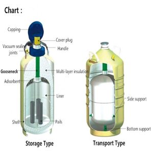 Liquid Nitrogen Container with Case