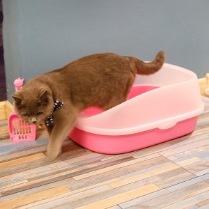 Litter Tray Pet Toilet Sand Bin