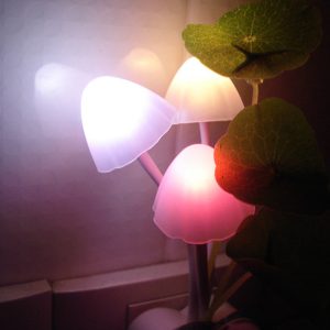 Mushroom Light LED Night Lamp