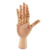 Wooden Hand Right Drawing Model