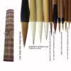 10Pcs Chinese Bamboo Calligraphy Brushes With Pen Curtain Set