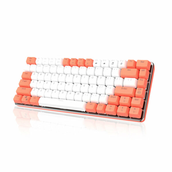 F82 82 Keys Mechanical Keyboard ABS Keycap Two-color Injection White Light Backlight USB Wired Gaming Mechanical Keyboards for Macbook