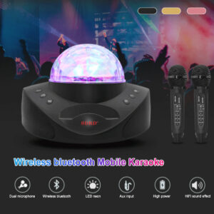 Wireless Microphone bluetooth Speaker Mobile Karaoke Stereo Black 20W SDRD