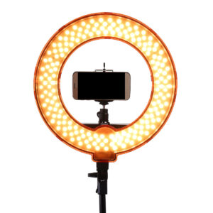12 Inch Dimmable LED Video Ring Light with Diffuser Tripod Stand Holder for Youtube Tik Tok Live Streaming