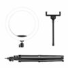 20/26/33cm RGBW LED Ring Light with 170cm Tripod Fill Light Dimmable Large Ring Light with Filters Tripod Stand for Youtube TikTok Live Broadcast