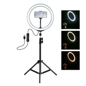 PULUZ PKT3035 10 Inch USB Video Ring Light with 110cm Light Stand Dual Phone Clip for Tik Tok Youtube Live Streaming