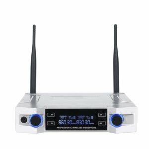 Professional UHF Wireless Microphone System 2 Channel 2 Cordless Handheld Mic Kraoke Speech Party supplies Cardioid Microphone