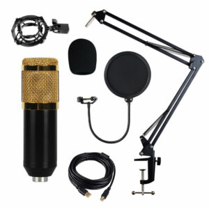 BM-828 Adjustable Studio Mic USB Condenser Sound Recording Microphone With Stand for Live Broadcast Podcasting