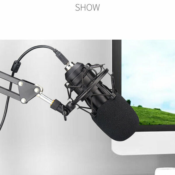 BM700 Professional Condenser Audio 3.5mm Wired Studio Microphone Vocal Recording KTV Karaoke Microphone for PC Karaoke Youtube Professional Recording Broadcast Mikrofon with Stand