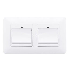Dual 1 Gang WiFi Smart Push Button Switch Smart Life Tuya Wireless Remote Control Work with Alexa Google Home