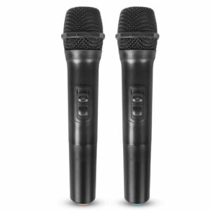 Dual UHF Wireless Microphone Mobile Phone One for Two Live Broadcast Home Conference Audio TV Computer Microphone with bluetooth Receiver