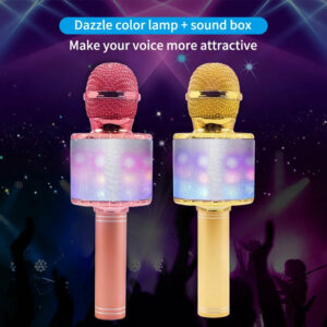Karaoke 858L microphone with LED Lights