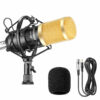 NEEWER NW-800 Professional Condenser Microphone 2.5M Wired Karaoke Recording Microphone Set for Computer Recording Studio