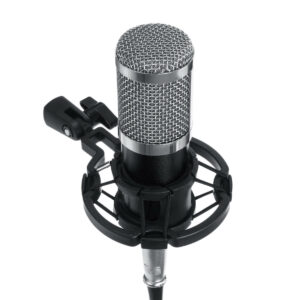 RODD Condenser Microphone Live Broadcast Mic Computer Karaoke Large Diaphragm with Bracket for Youtube