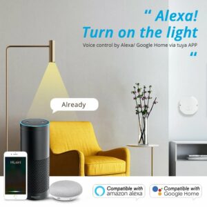 Zemismart Zigbee3.0 Smart Light Switch DIY Module SmartThings Tuya Control Alexa Google Home 1 Way 2 Way
