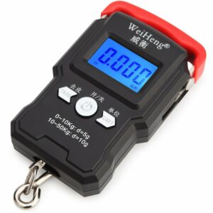 WH-A23 Portable 50Kg/10g LCD Digital Display Backlight Hanging Hook Scale Double Accuracy Fishing Travel Mini Electronic Weighing Express Scale